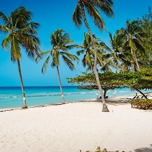 https://coconut-court-beach-hotel.comcaribbean.com